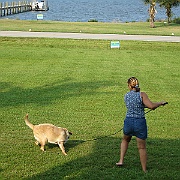 Picture 017